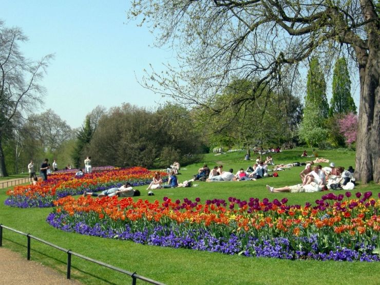 Enjoying Springtime in Hyde Park