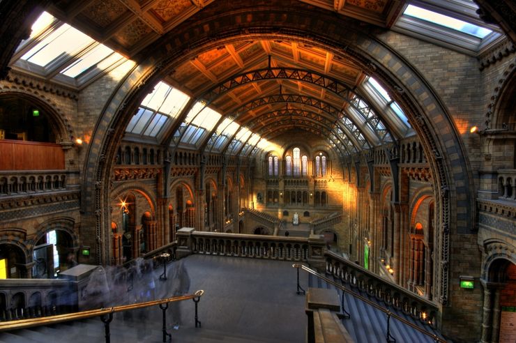 Entrance hall of the Natural History Museum