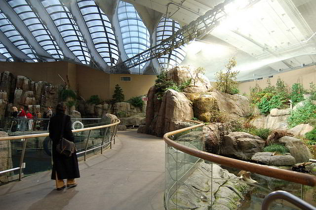 Inside the Montreal Biodome