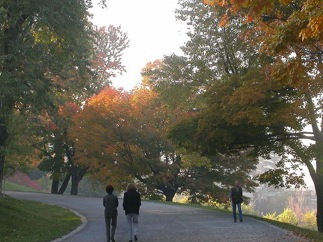 Walking up the Olmsted Trail on Mont-Royal