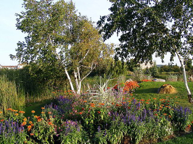 Perennials and trees in Parc Jarry