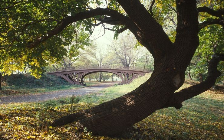 A tree frames one of the many unique bridges in Central Park 