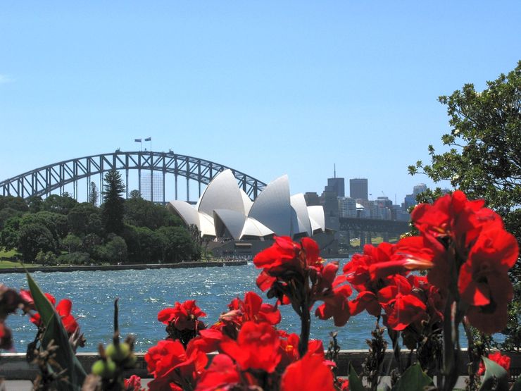 Flowers at the Royal Botanic Gardens frame the Sydney Opera House and Harbour Bridge