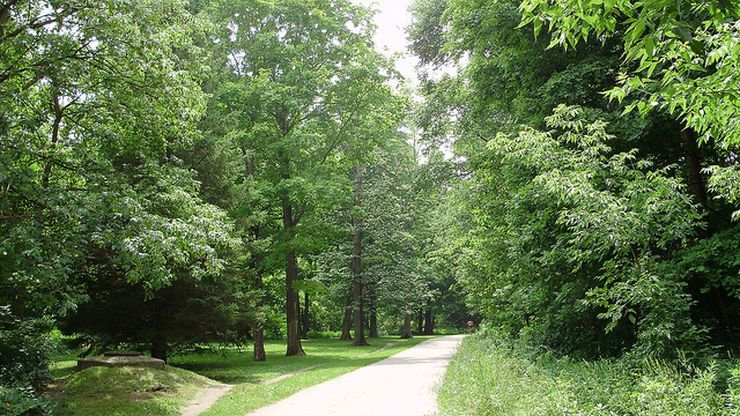 Tree lined pathway through Taylor Creek Park provides a pleasant escape from the bustling city