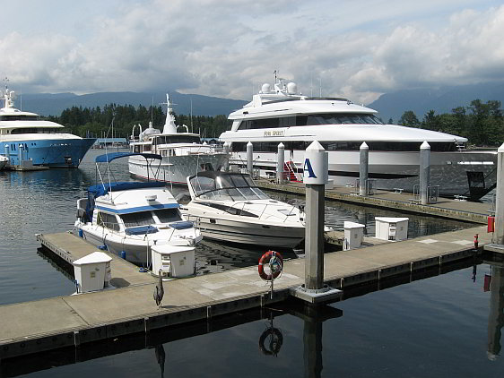 A Heron Stands Guard over Luxury Yachts  at Vancouver Harbour