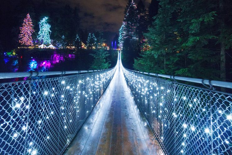 Canyon Lights at the Capilano Suspension Bridge