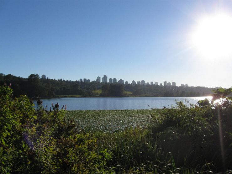 View across Deer Lake Park with downtown Burnaby in the distance