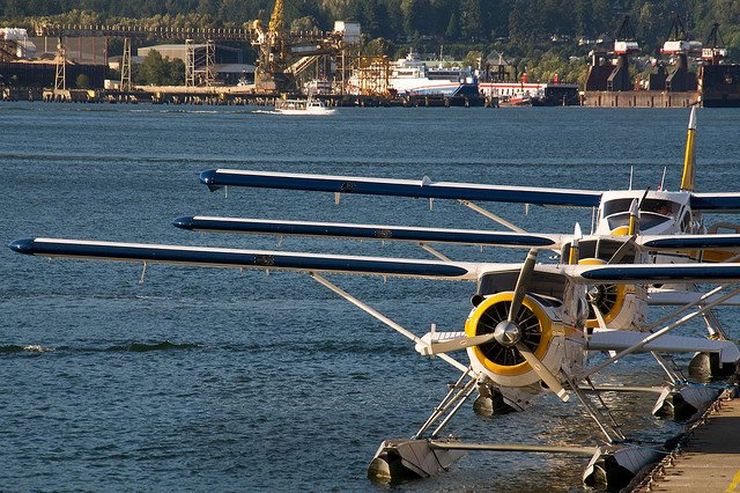 Harbour Air Seaplanes lined up at the dock 
