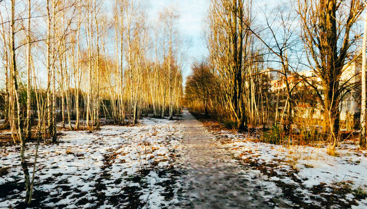 Walking path in Nordbahnhof-Park on a winter day