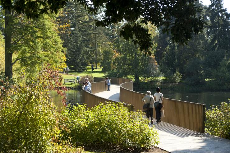 Lake and Sackler Crossing in Kew Gardens