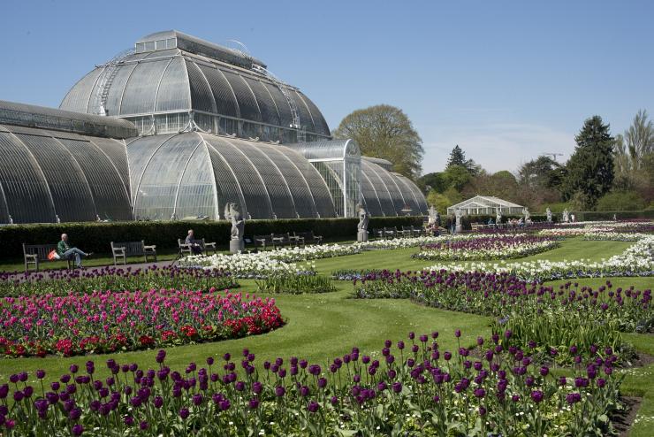 Palm House in the beautiful Kew Gardens