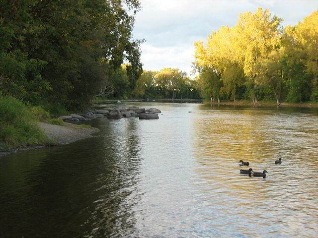 View of the river and shoreline from Ile de la Visitation Nature Park