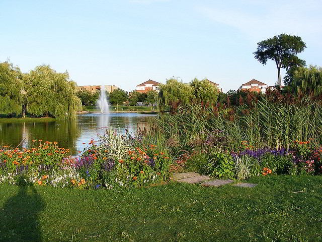 Flowers and Weeping Willows bordering the pond in Jarry Park