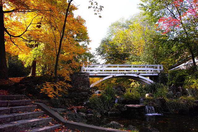 Fall colors add to a very picturesque and serene spot in Parc Jean Drapeau