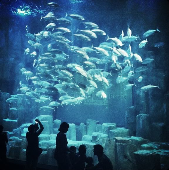 Visitors enjoying the CinéAqua Aquarium in Paris