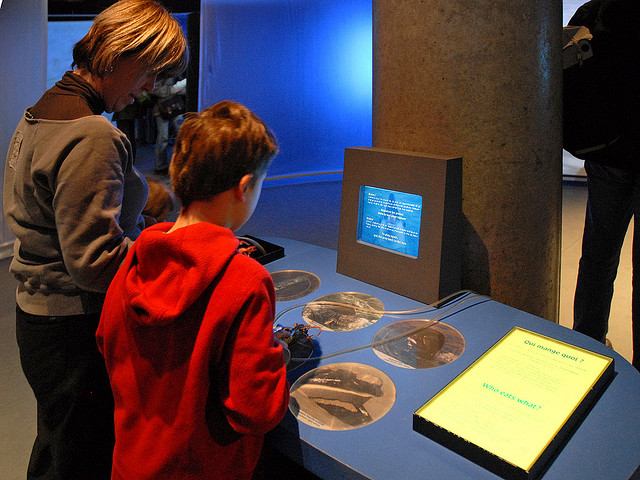 Visitors enjoying a hands on exhibit during the Incredible Cetaceans Exhibition at the Museum National D'Histoire Naturelle