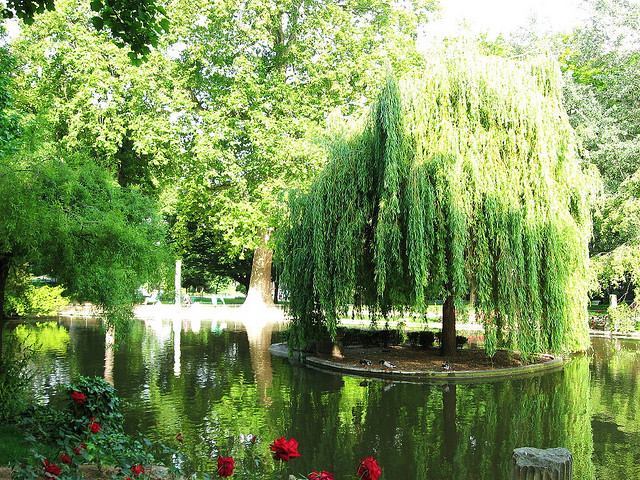 tour du parc monceau