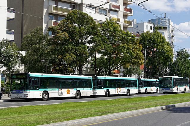 Paris Buses lined up at terminus