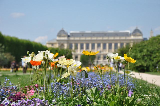 Beautiful displays of flowers at Jardin des Plantes with the Musee National D'Histoire Naturelle in the background