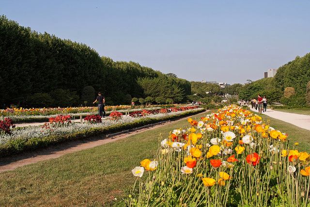 Strolling along long rows of flowers in the Jardin de plantes