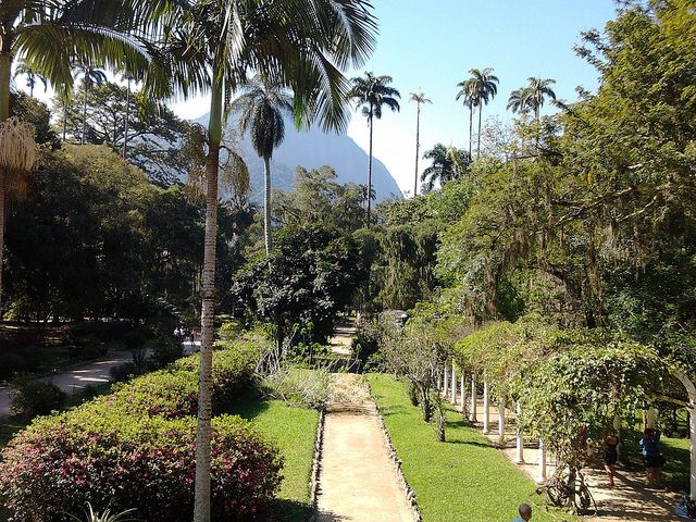 Walking paths in the Rio de Janeiro Botanical Garden