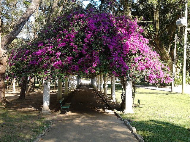 Rio de Janeiro Botanical Garden