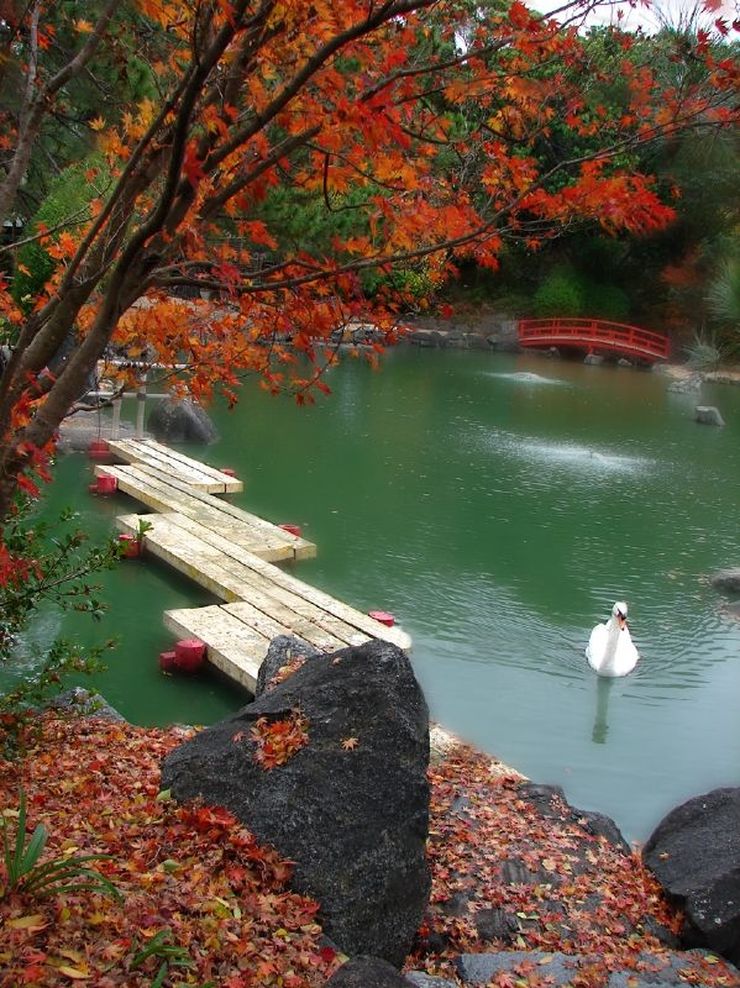 Japanese Garden at the Auburn Botancial Gardens