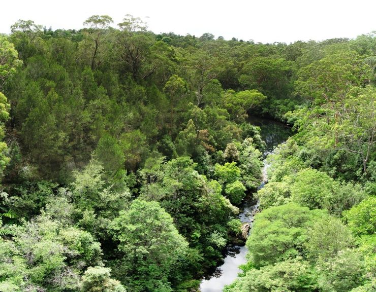 Lane Cover River seen from De Burghs Bridge