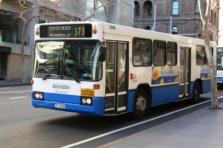 The majority of Sydney Buses are blue and white