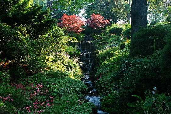 Landscaped Gardens in High Park