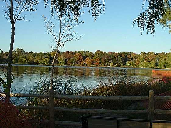 Grenadier Pond in High Park