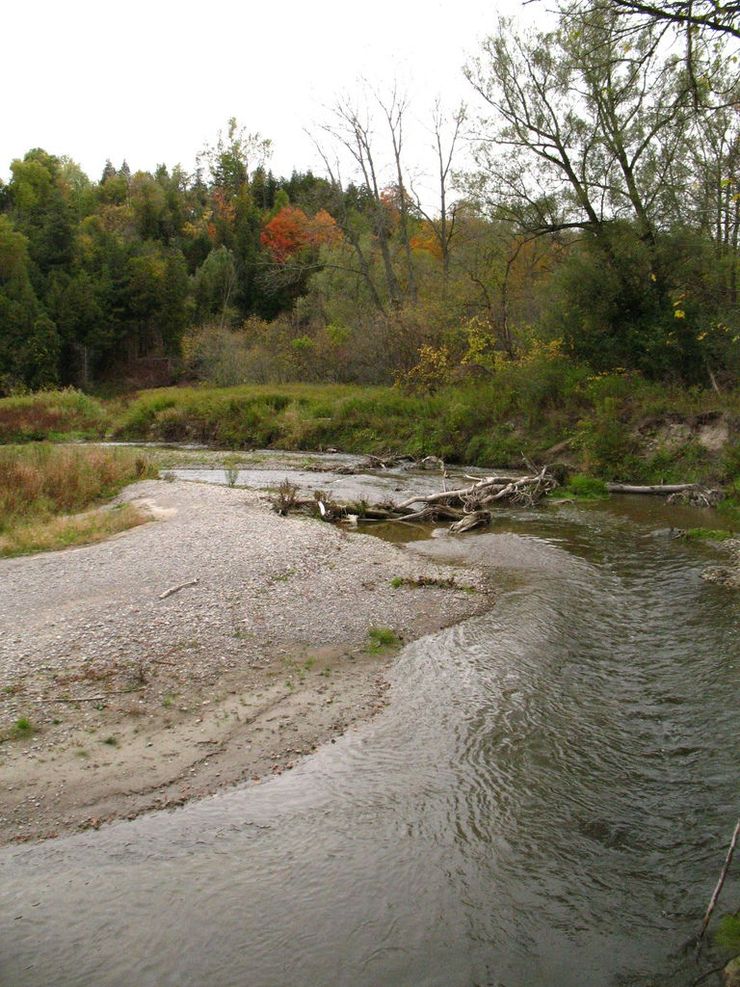 Rouge Park near Twyn Rivers