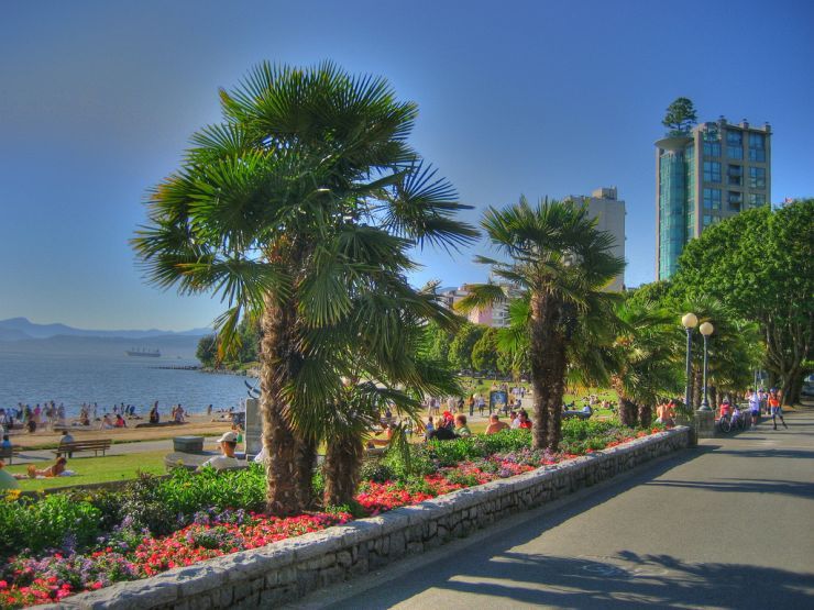 Palm Trees Lining English Bay Beach Park