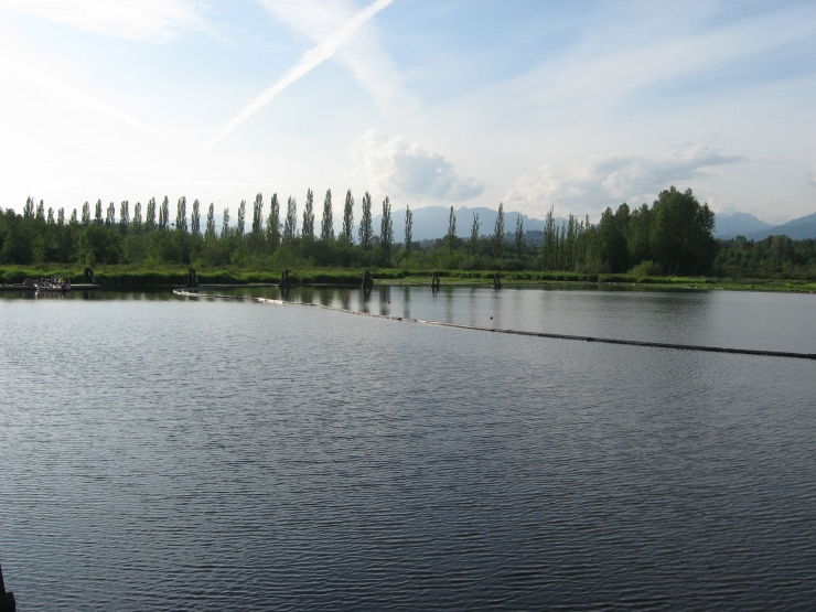 Burnaby Lake - Surrounded by the city yet nothing but nature in sight