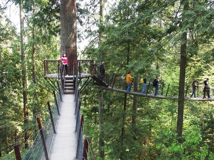 Capilano Suspension Bridge - Discovering Vancouver Attractions by Transit